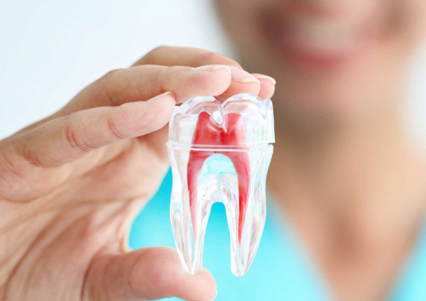 Endodonti